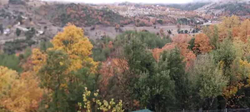 Azıtepe Dağevi - Photo 3