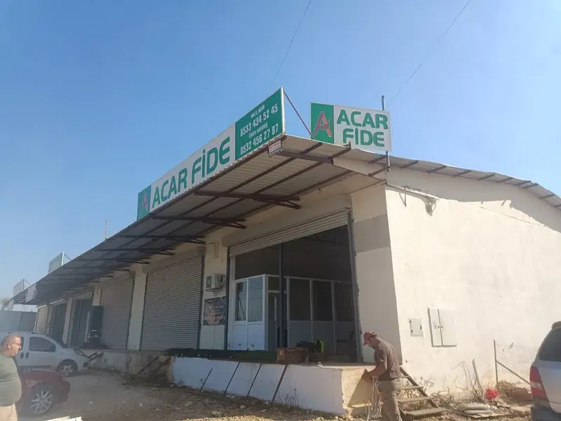 Açar fide - Photo 4