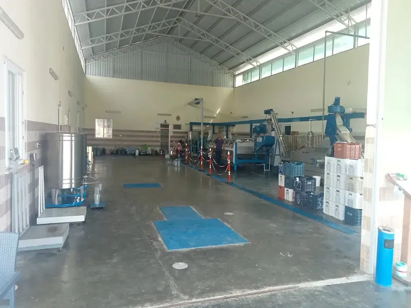 Babaoğlu Zeytinyağı Fabrikası Emişbeleni - Photo 6