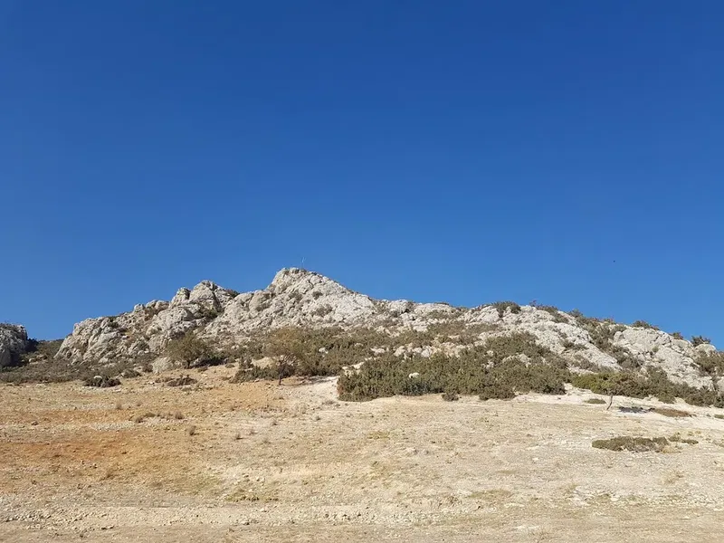Badem Agaci Ucus - Photo 3