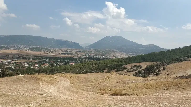 Badem Agaci Ucus - Photo 8