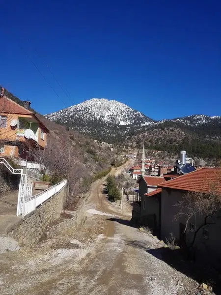 Bademli Dernek Kıraathanesi - Photo 2