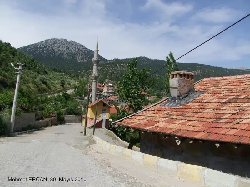 Bademli Dernek Kıraathanesi - Photo 8