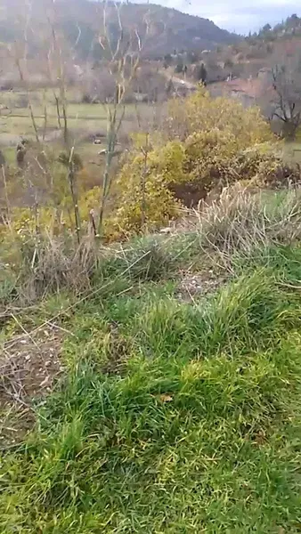 Bademli Dernek Kıraathanesi - Photo 9