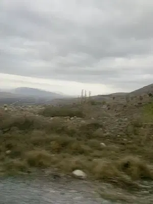 Bademli Mahalle Muhtarlığı