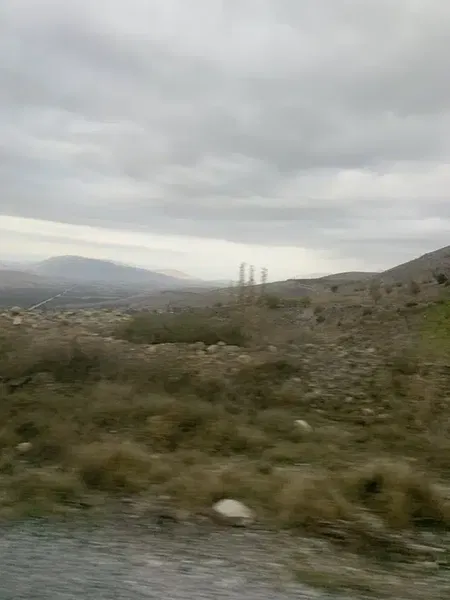 Bademli Mahalle Muhtarlığı - Photo 1