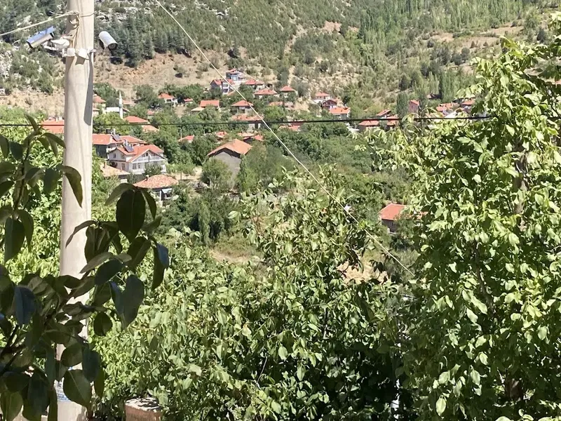 Bademli Mahalle Muhtarlığı - Photo 2