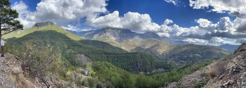 Bahçe - Photo 3
