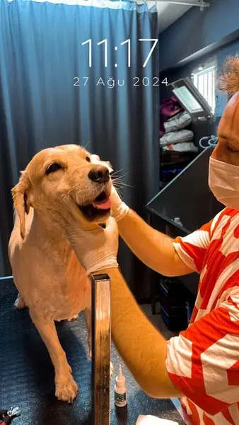 Bahçelievler Petshop & Kuaför Groomer - Photo 5