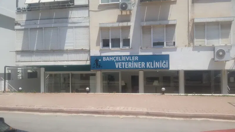 Bahçelievler Veteriner Kliniği - Photo 9