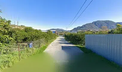 Bahçem Gözleme Kestel