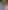 Bak Bu Gross Avm fotoğrafı