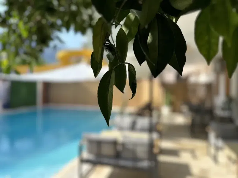 Balamir Pool - Photo 6