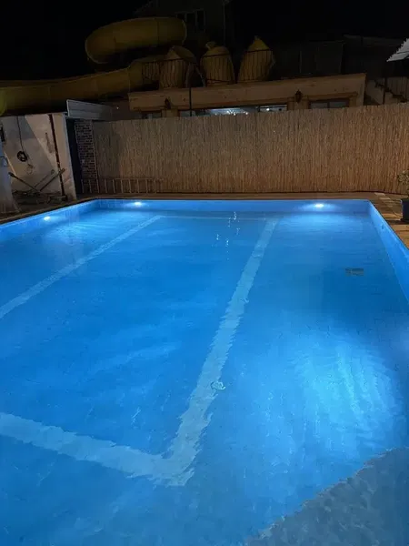 Balamir Pool - Photo 7