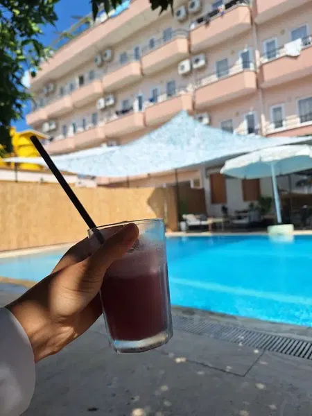 Balamir Pool - Photo 8