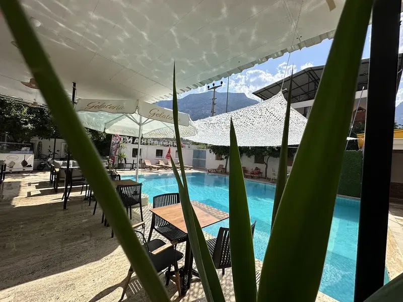 Balamir Pool - Photo 9