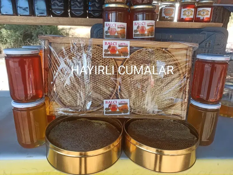 Balcı Barış - Photo 7