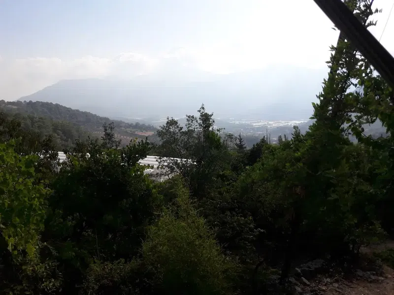 Baltalar Manzara - Photo 3