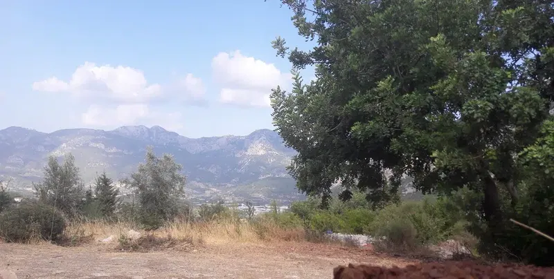 Baltalar Manzara - Photo 5