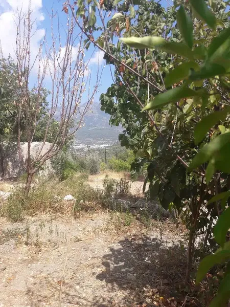 Baltalar Manzara - Photo 10
