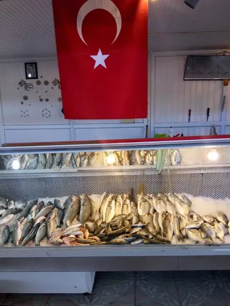 Balıkçı Erdal'ın Yeri - Photo 3
