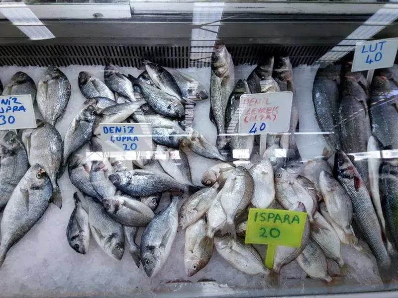 Balıkçı Erdal'ın Yeri - Photo 4