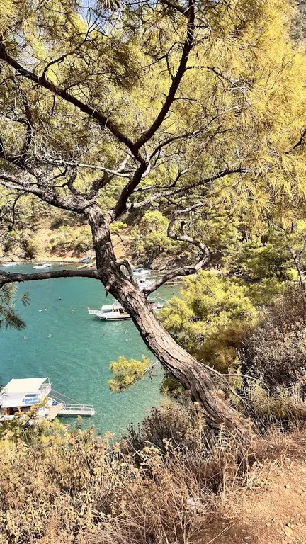 Balıkçı İskelesi