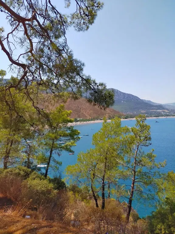 Balıkçı İskelesi - Photo 2