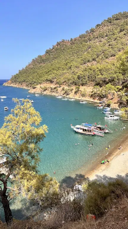 Balıkçı İskelesi - Photo 6