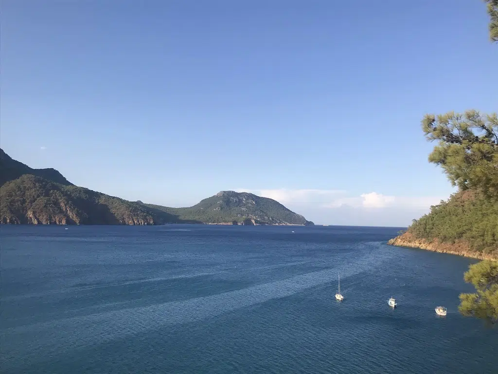 Balıkçı İskelesi - Photo 9
