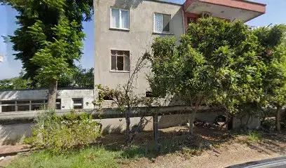 Banu Cömertoğlu İlköğretim Okulu