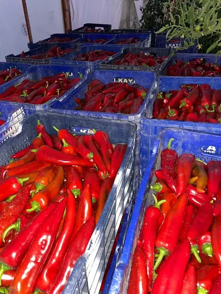 Bardakçı Üretim Tesisleri - Photo 1