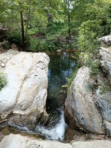 Barı Çiftliği - Photo 1