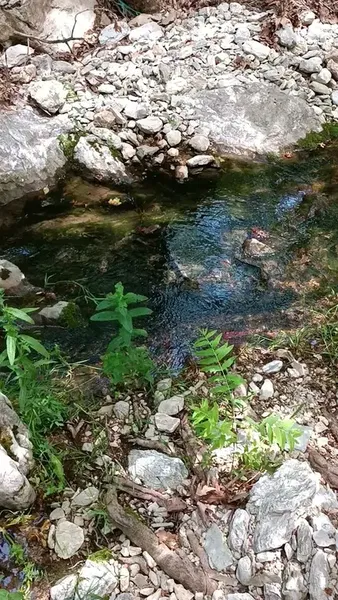 Barı Çiftliği - Photo 2