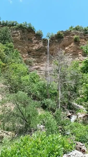 Barı Çiftliği - Photo 4