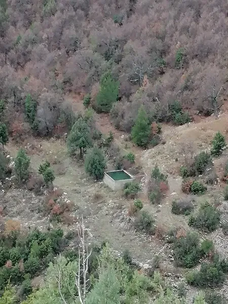 Barı Çiftliği - Photo 5
