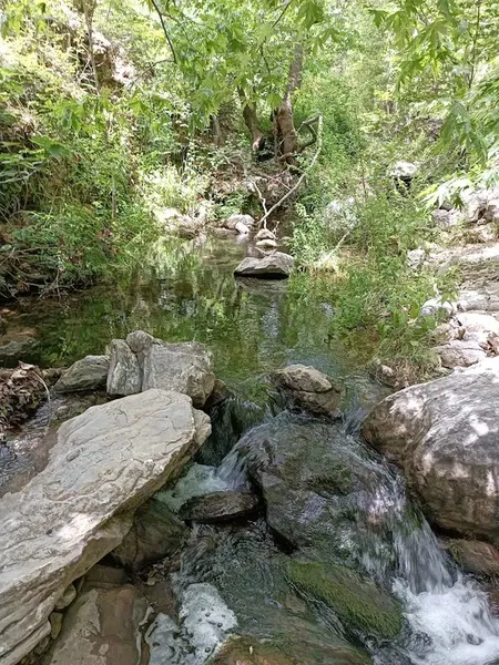Barı Çiftliği - Photo 6