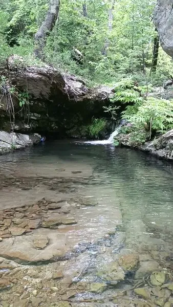 Barı Çiftliği - Photo 8