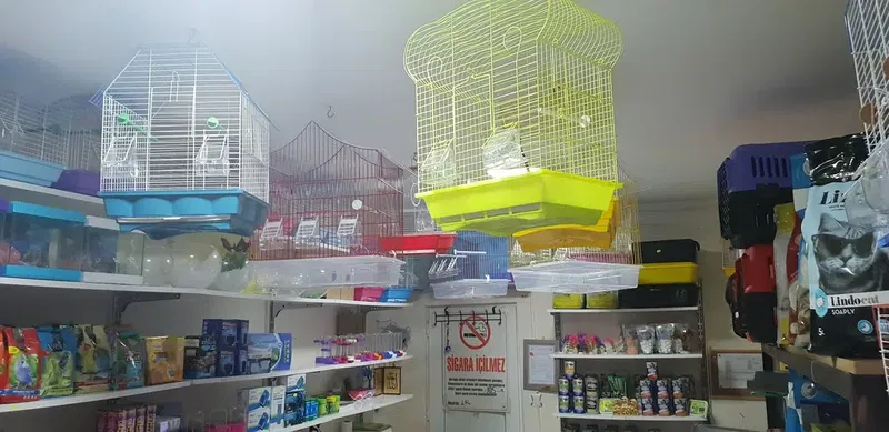 BasakPetshop - Photo 3