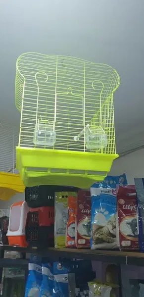 BasakPetshop - Photo 6