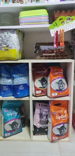 BasakPetshop - Photo 7