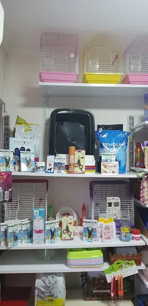 BasakPetshop - Photo 10
