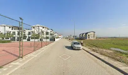 Basketball Playground