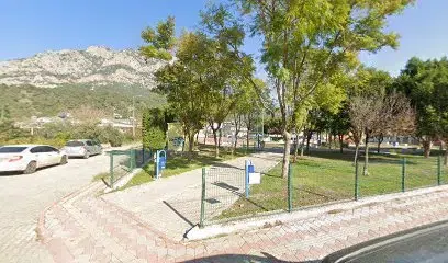 Basketbol sahası