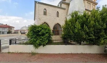 Basketbol Sahası