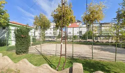 Basketbol Sahası
