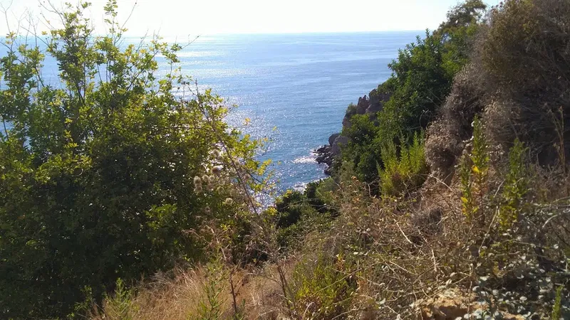 Batı Akdeniz Tarımsal Araştırma Enstitüsü - Photo 4