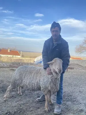 Bayramın yeri