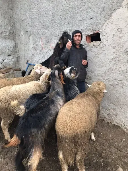 Bayramın yeri - Photo 4