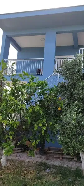 Bayram'ın Zeytin Bahçesi - Photo 2